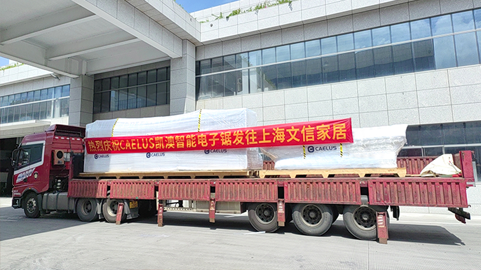 Customer First, Time is Money丨CAELUS Smart and Efficient Service at Vision Factory